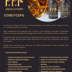 Cordyceps Nootropic Botanical Extract Frequency Fluid