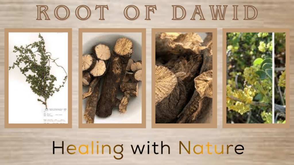 Root of david protection