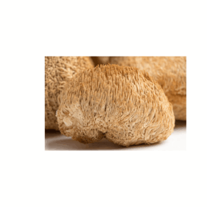 Lion's Mane