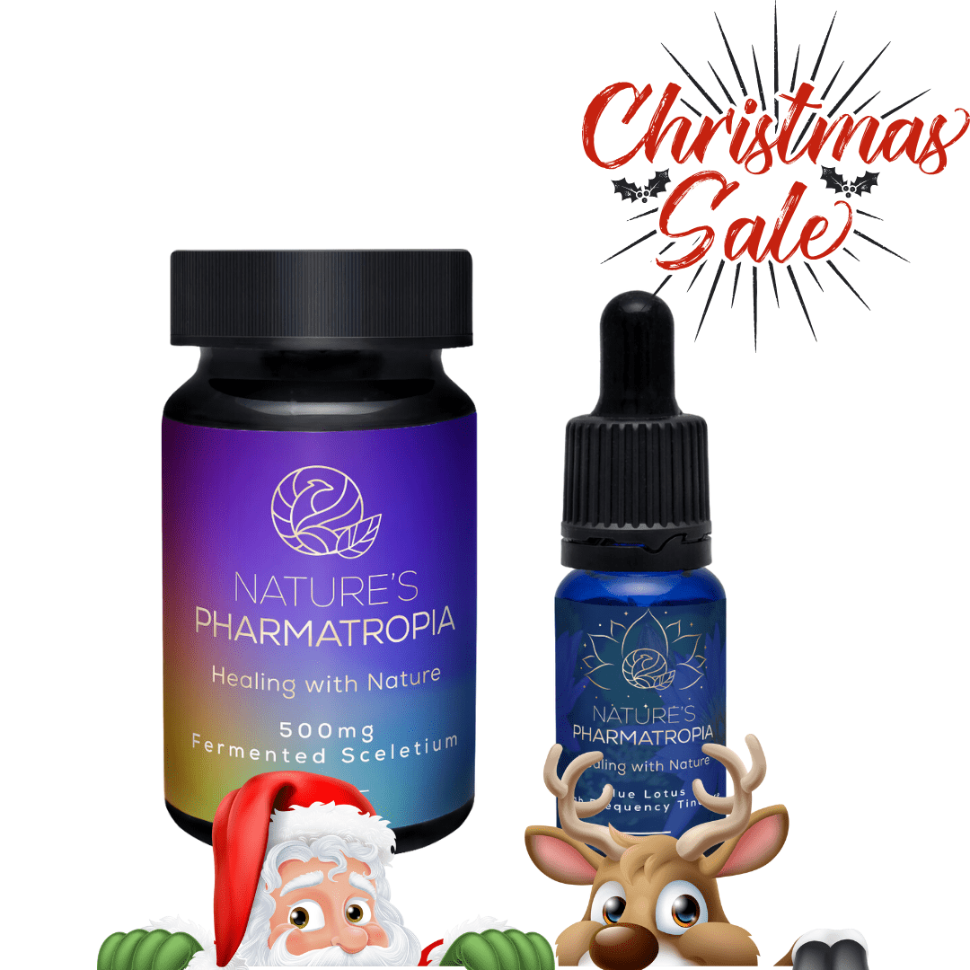 Happy Days xmas special 1