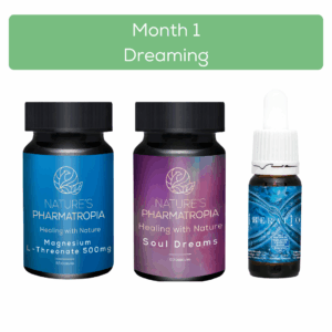Explore Dreaming - Limited 3 Month Subscription Package