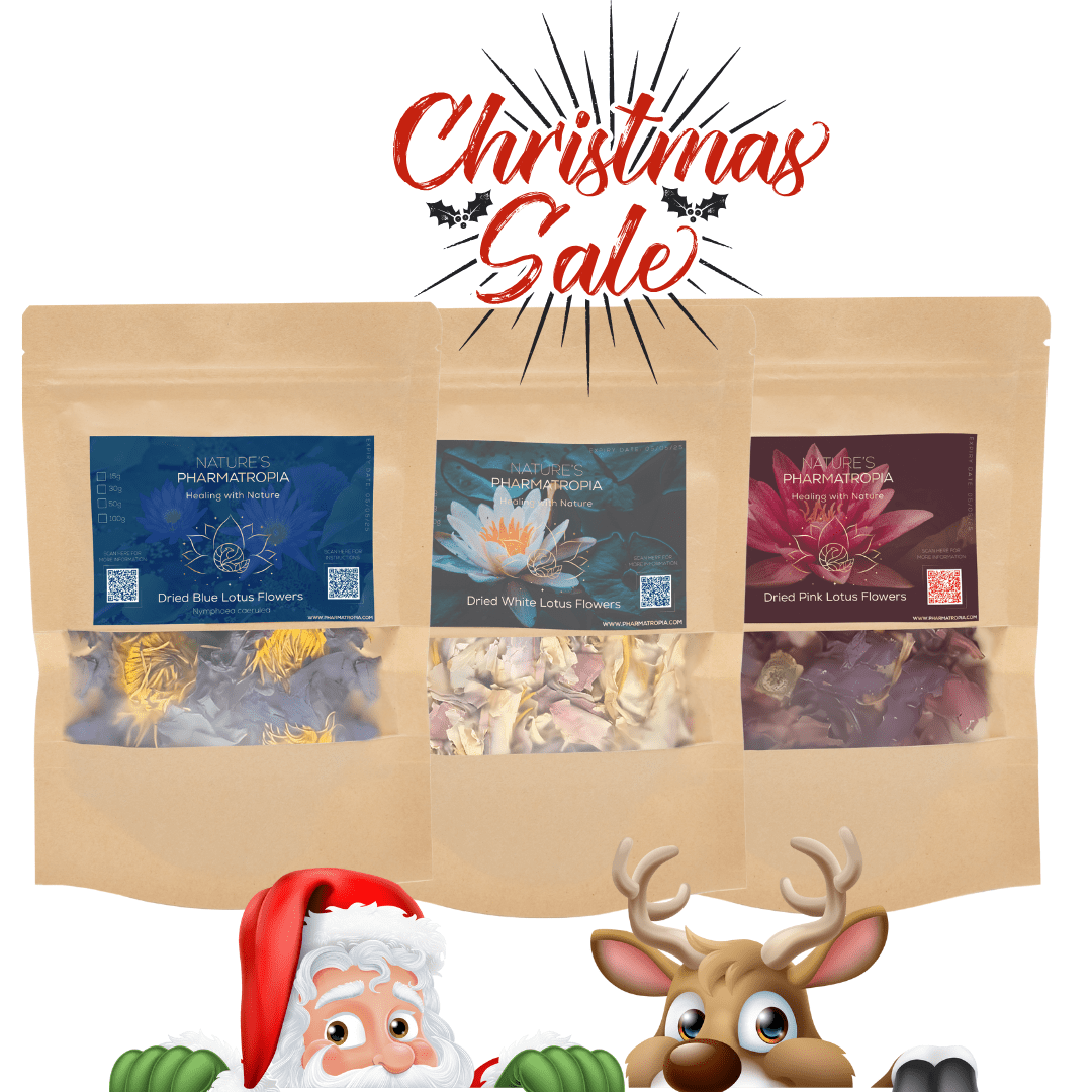 Trio of Lotus xmas special 2