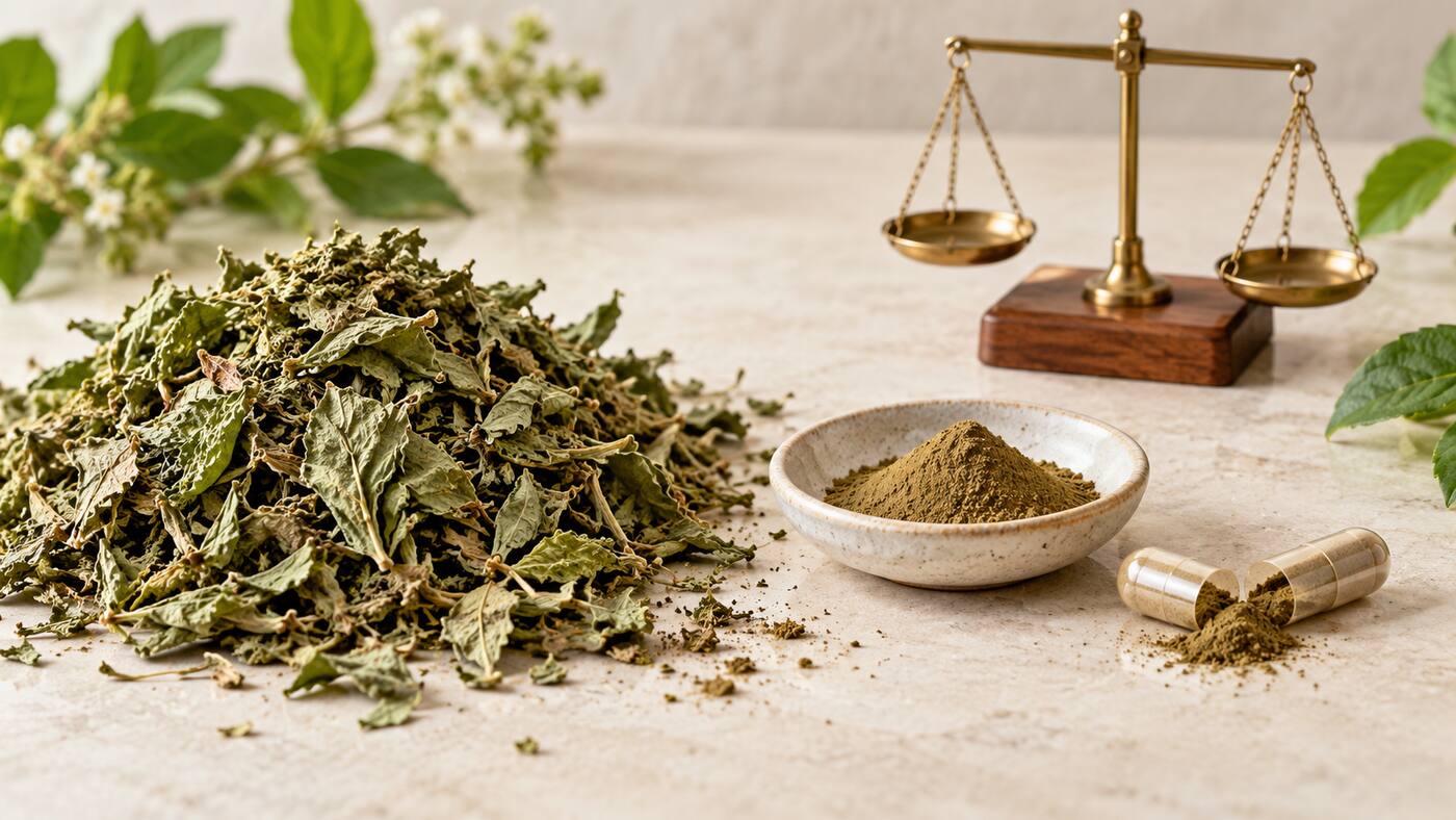 Dried herbal leaves, concentrated extract powder, an open capsule and a balance scale