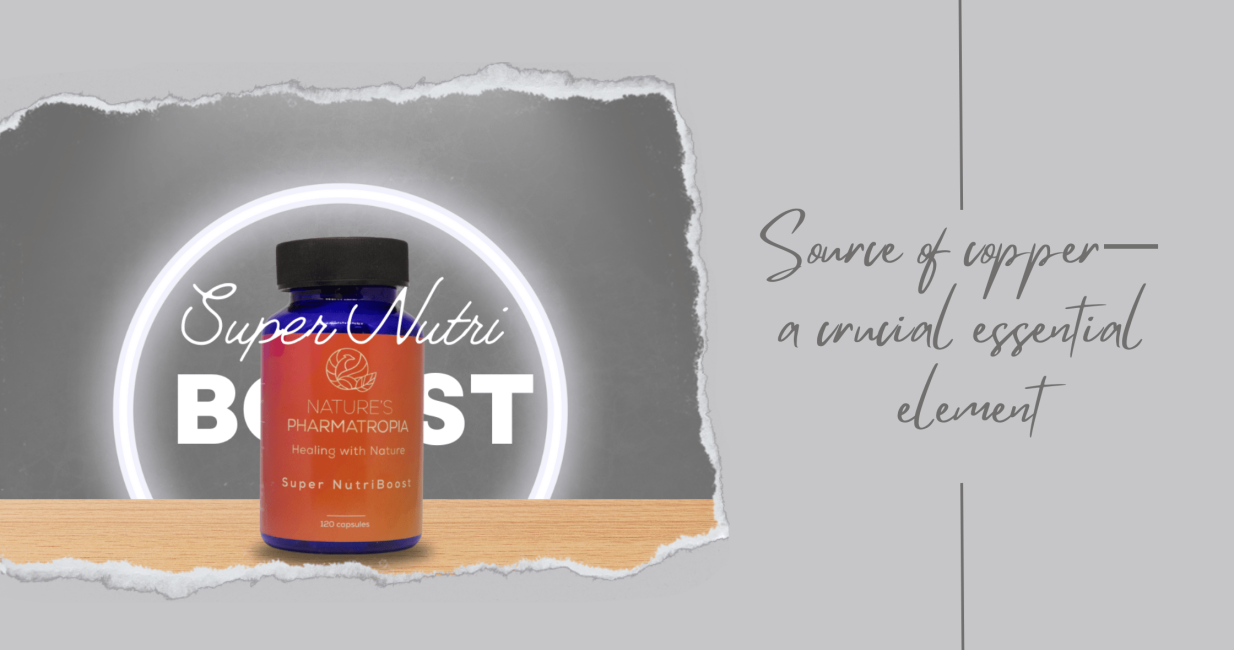 Blog Cover - Super Nutri Boost