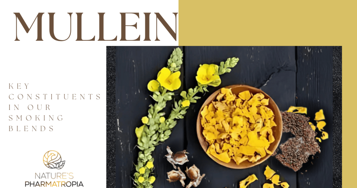 Blog cover Mullein