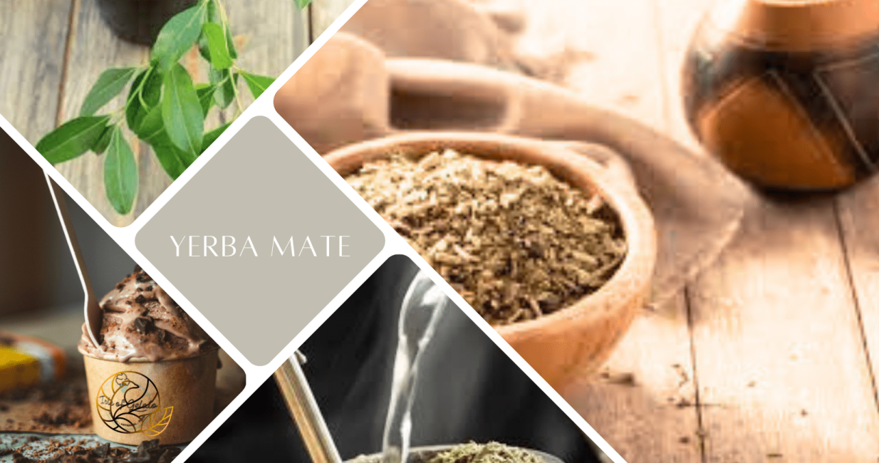 yerba mate