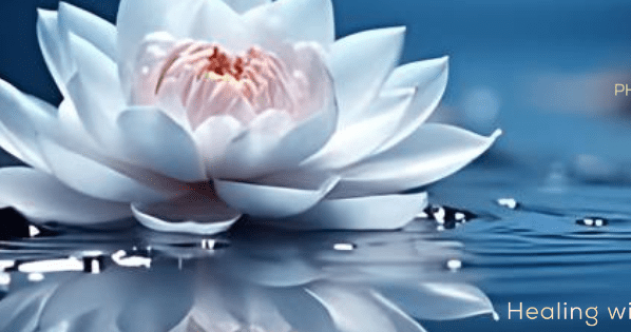 Copy of Facebook banner (Facebook Cover) (1)