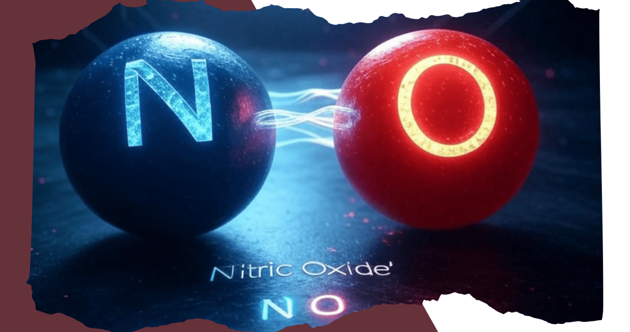 Nitric Oxide - Blog cover