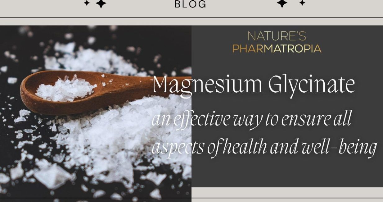 WhatsApp Image 2024-05-14 at 2.44.27 PM